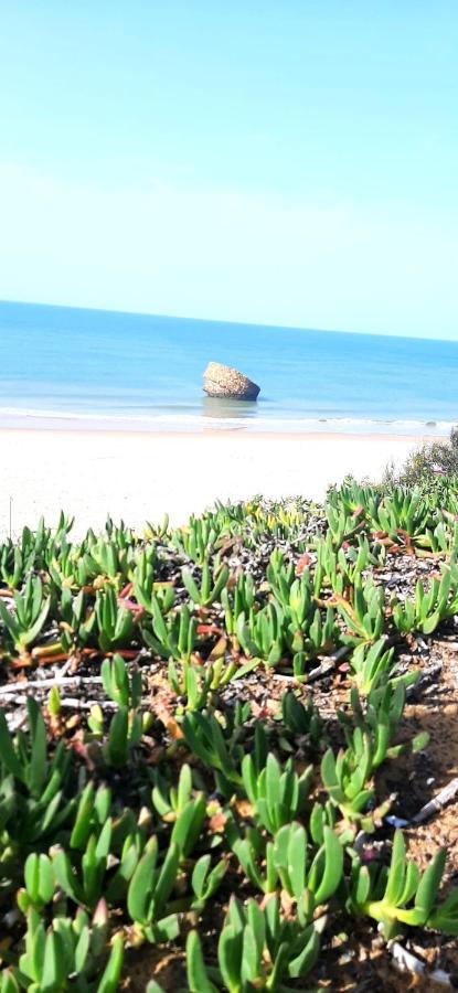 Caracola Beach Matalascañas Extérieur photo